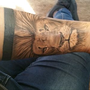 It's almost healed #lion #lion #portraittattoo #lionhead #armband #blackandgreytattoos #realistic