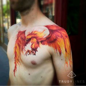 I love this piece, I love the imagery of phoenix rising from the ashes. You go through rough parts in life and get burnt out but something amazing will rise out of the ashes. #megandreamtattoo