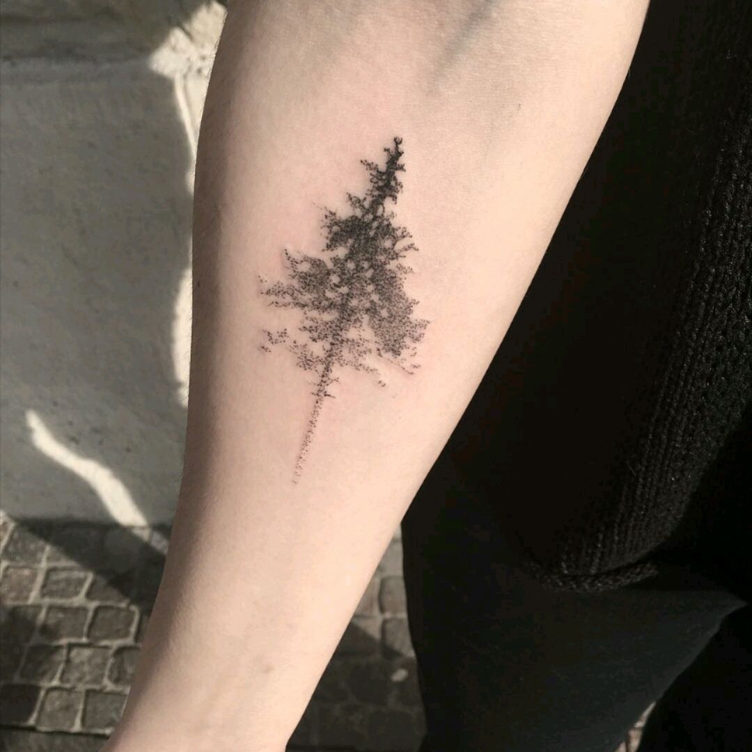28 Cedar tattoo ideas  tree tattoo redwood tattoo pine tree tattoo