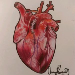 #heart #realism #anatomy