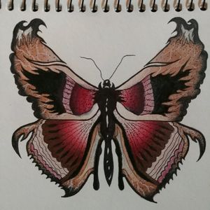 #butterfly #moth