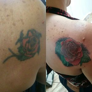 Cover up #coverup  #cover #Rose #flower