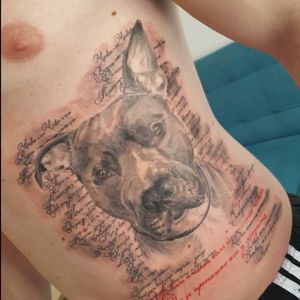 #onyxtattoo #belgrade #beograd #tattoo #tetovaze #tetoviranje #portrait #pitbull #americanstafford