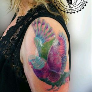 #coverup #tattooedgirls #tattoo #tattoogirls #tattoed #tattoos #tattooer #ink #inked #inkedup #friedrichbenzler #chemnitz #tattoostudio #bententattoo