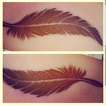 #plume #feather #feathers #oiseau #plumeoiseau #bird #tatouageplume #plumetattoo #frenchie #arm #tattoo #oldschooltattoo #oldschool