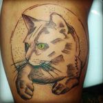 #sketch #cat #tatuadoresbrasileiros #brasilianartist