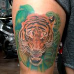 Tiger head on a thigh #tiger #tigertattoo #tigerhead #animal #animaltattoo #junglecat #wildcat #colourtattoo #scotland #scotlandtattoo #glasgowink #glasgowtattoo #tattooglasgow #polishartist #PolishTattoos