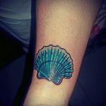 #seashell #sea #clam