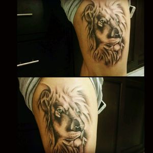 Mi nuevo tatuaje #leon #tatto