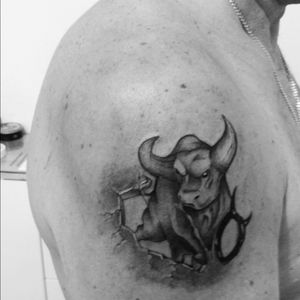 Bull my work at izo tattoo studio