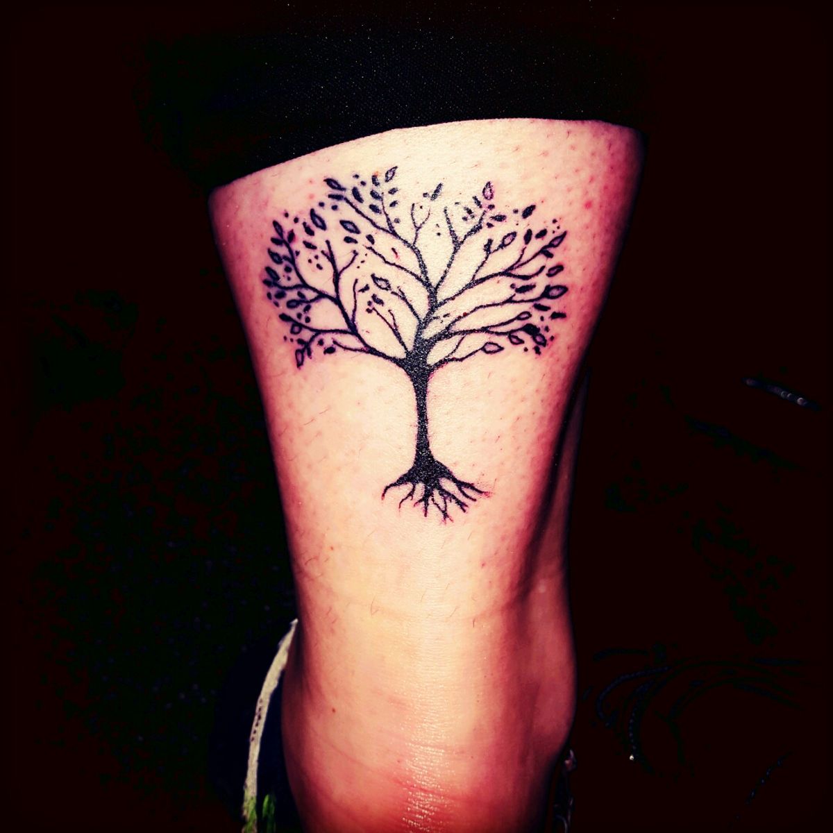 tattoo-uploaded-by-sean-milnes-tree-tattoo-seanmilnes