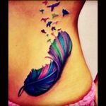 #feather #bird #colourful
