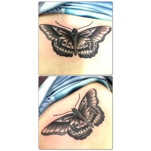 #tattoo #butterfly #butterflytattoo