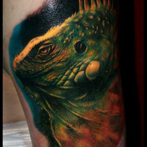 #veronikaraubtiertattoo #tattoo #iguana #iguanatattoo #lizard #realisticlizardtattoo #VeronikaRaubtier