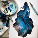 #aquarela #peixe #azul