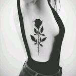 #fineline #rose #rosetattoo #roses #blackrose #blackwork #flower #original #megandreamtattoo #dreamtattoo #traditional #blackwork #tattoo #ink #inked #tattooart