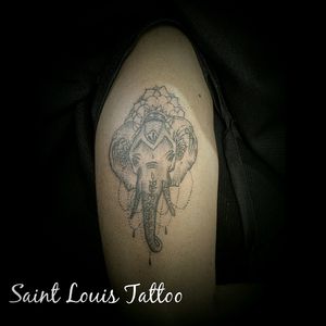 #elephant #saintlouistattoo #saintlouis #luistattoo69 #inked #tanapele #tattooedgirls #tattoolife #tattoo #tattooed #friends #lovetattoo #tattoolover #ink