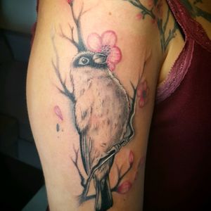 tattoo mésanges by thedoud appentice tattooist #thedoud#flowers#tattoo#tattooflower#blackandwhite#blackwork#blackandwhitetattoo#neotrad#neotradtattoo#apprenticetattoo#tattoogirly#tattoolife#tattoolifemagazine#mesange#tattoobird#birdstattoo#inkmemagazine#mesanges#bird#blackworkersubmission#inkaddict#inkaddictink#inkaddiction#styletattooss#birds#birdtattoo#