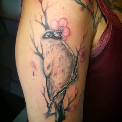 tattoo mésanges by thedoud appentice tattooist #thedoud#flowers#tattoo#tattooflower#blackandwhite#blackwork#blackandwhitetattoo#neotrad#neotradtattoo#apprenticetattoo#tattoogirly#tattoolife#tattoolifemagazine#mesange#tattoobird#birdstattoo#inkmemagazine#mesanges#bird#blackworkersubmission#inkaddict#inkaddictink#inkaddiction#styletattooss#birds#birdtattoo#
