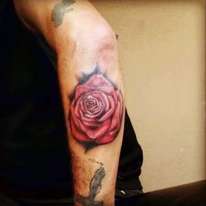 #rose by Pablo