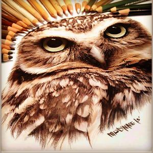 Amazing pencil drawing of an owl. Love the intensity! #owltattoo #drawing