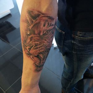 Sleeve in progress .. tiger .. by Silvy Yggdrasil Tattoo