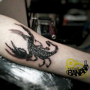 Scorpion#tattoobanana #tattoo #tattoos #tatts #bodyart #inked #thurles #ink #tattoolovers #tatuaze #scorpiontattoo #realistictattoo