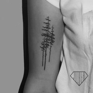 Pine tattoo 🌲