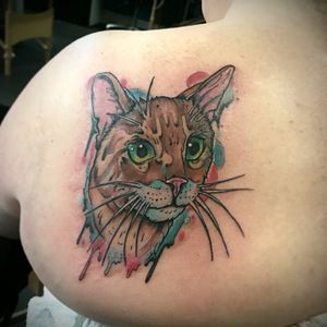 For the love of cat ☺ #cat #cattattoo #colourtattoo #cats #graphicwatercolor #watercolourtattoo #glasgow #glasgowtattoo #tattooglasgow #scotland #scotlandtattoo #glasgowink