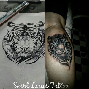 #tigre #animal #saintlouistattoo #luistattoo69 #tanapele #tattoolife #tattooed #tattoo #friends #tattooarte #tattooedgirls #tigger #worldtattoo #love #ink #natureza