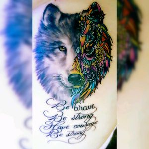#wolf #colorful #unconditional