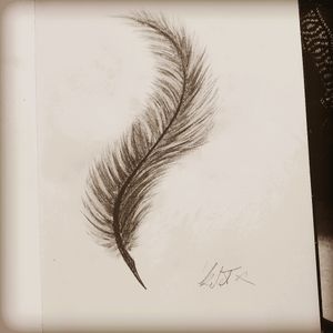 When i get bored feathers are to come