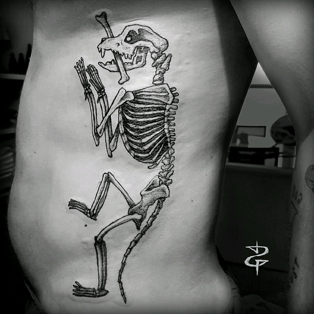 Animal Skeleton Tattoo Art Design Book Stock Vector Royalty Free  1240298485  Shutterstock