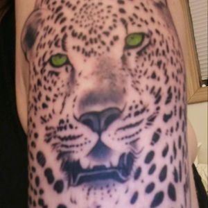 Fantastic leopard tattoo done by Megan Hoogland from Mecca in Mankato, mn. I'm getting my other arm done by her in a couple months!