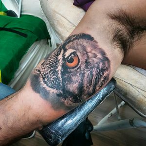 Amazing realistic owl by @Dallier #owl #coruja #realismo #realism #pretoecinza #blackandgrey #tatuadoresdobrasil #AlexandreDallier