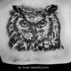 Back piece #owl #owltattoo #owls #blackandgrey #glasgow #glasgowtattoo #scotland #scotlandtattoo #polishartist