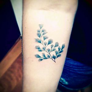 Galhinho de avenca em pontilhismo arrastado da Mari Santos! Uma queridíssima q se aventura nos meus testes! Muito obrigada lindaaa! <3 #ink #tattoo #tatuagem #instattoo #tattoo2me #tattoodo #campinastattoo #campinassp #inspirationtattoo #tattoolife #tatuagemcampinas #tattooink #tattooed #tattoolove #tattooartist #photooftheday #followme #tatts #tatted #avenca #botanical #botanicaltattoo #botanica #leaftattoo #dotwork #dotworkers #dotworktattoo #dotworkartist #fineline