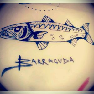#BarracudaTattoo #Barracuda #sketch