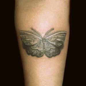 #butterfly  #blackandgrey #lace