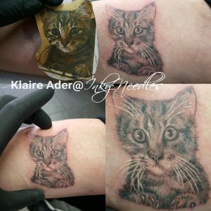Small kitten by Klaire.