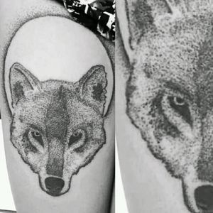 Wolf Dotwork Tattoo #dotwork #dotworktattoo #wolftattoo