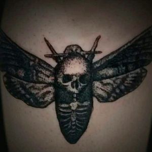 Moth Dotwork Tattoo#dotwork #dotworktattoo #moth #mothtattoo #mothdotwork #skull #skulltattoo #deathmoth