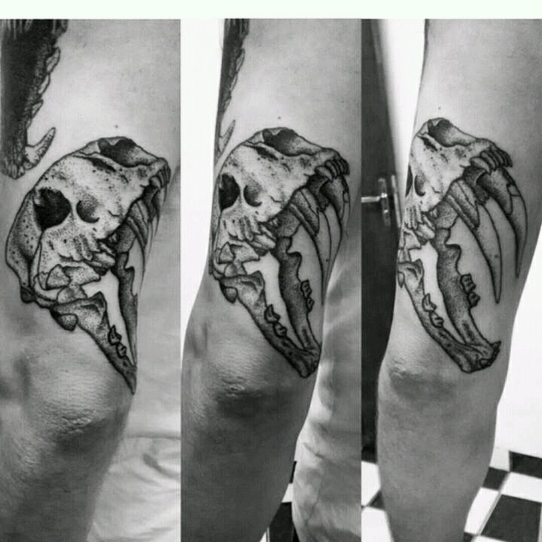 Sabertooth skull by Justin Craven at Acacia Tattoo co Lewisburg Pa  r tattoos