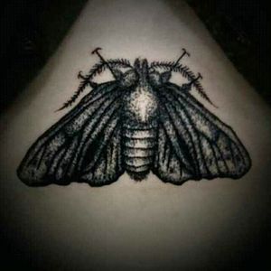 Moth Dotwork Tattoo#dotwork #dotworktattoo #moth #mothtattoo #mothdotwork