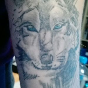 My 2nd tattoo: A Wolf with blue eyes #wolf #coloraccent #sketch #alltimefavourite