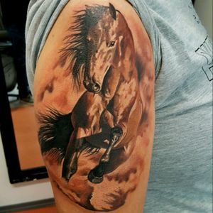 #horse #horsetattoo #tattoo #tattooartist
