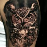 Realism is one of the best kinds of art.  (via: https://www.instagram.com/p/BS2JBTsBalq/) #Owl #OwlTattoo #Realism