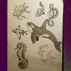 Sometimes I really like drawing sea animals (yeah, the mermaid is an animal) #mermaid #snake #fish #octopus #seahorse #orcawhale #drawing