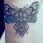 #shpinxtetedemort #papillon #butterfly #tattoo #tatouage #geometric #geometrique #turquoise #turquoiseblack #noirettutquoise #skull #crane #french #frenchie #forearm