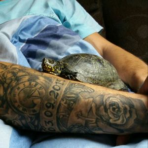 #inmemory #dad #love #turtle #tattoodad